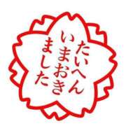 ヒメ日記 2025/06/06 10:14 投稿 えりこ 完熟ばなな神戸・三宮店