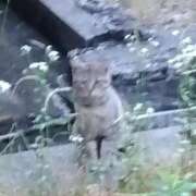 ヒメ日記 2025/06/11 21:38 投稿 えりこ 完熟ばなな神戸・三宮店