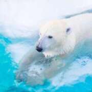 ヒメ日記 2025/08/07 08:20 投稿 えりこ 完熟ばなな神戸・三宮店