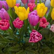 ヒメ日記 2026/03/03 13:14 投稿 えりこ 完熟ばなな神戸・三宮店