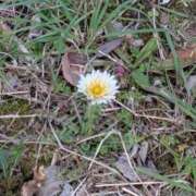 ヒメ日記 2026/03/13 08:07 投稿 えりこ 完熟ばなな神戸・三宮店