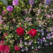 ヒメ日記 2026/03/26 23:02 投稿 えりこ 完熟ばなな神戸・三宮店