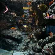 ヒメ日記 2025/06/06 22:24 投稿 #保育士#週末#奪い合う GOOD-グッド-