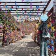 ヒメ日記 2025/10/27 09:50 投稿 ひさこ 即トク奥さん