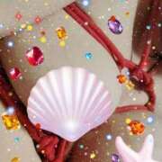 ヒメ日記 2026/02/09 00:40 投稿 ひさこ 即トク奥さん