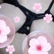 ヒメ日記 2026/03/15 15:26 投稿 ひさこ 即トク奥さん