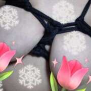 ヒメ日記 2026/04/09 14:40 投稿 ひさこ 即トク奥さん