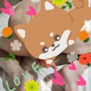 ヒメ日記 2026/04/10 10:00 投稿 ひさこ 即トク奥さん