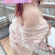 ヒメ日記 2026/04/16 18:54 投稿 ひさこ 即トク奥さん