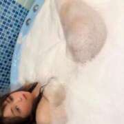 ヒメ日記 2025/07/09 12:51 投稿 ここみ 夜這専門発情する奥様たち 谷九店