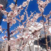 ヒメ日記 2026/03/12 05:57 投稿 あいか ぼいんWORK