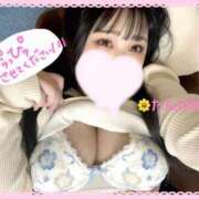 ヒメ日記 2024/12/29 21:01 投稿 たんぽぽ 丸妻 新横浜店