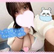 ヒメ日記 2025/08/23 01:14 投稿 たんぽぽ 丸妻 新横浜店