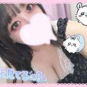 ヒメ日記 2025/09/26 00:05 投稿 たんぽぽ 丸妻 新横浜店