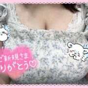 ヒメ日記 2025/10/04 01:23 投稿 たんぽぽ 丸妻 新横浜店