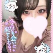 ヒメ日記 2025/10/07 19:46 投稿 たんぽぽ 丸妻 新横浜店