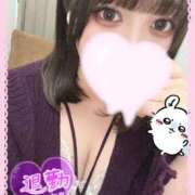 ヒメ日記 2025/10/30 04:06 投稿 たんぽぽ 丸妻 新横浜店