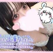 ヒメ日記 2025/11/02 20:05 投稿 たんぽぽ 丸妻 新横浜店