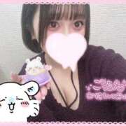 ヒメ日記 2025/11/29 14:09 投稿 たんぽぽ 丸妻 新横浜店