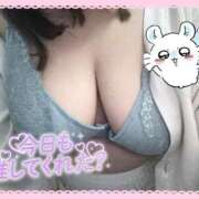 ヒメ日記 2025/12/09 18:58 投稿 たんぽぽ 丸妻 新横浜店