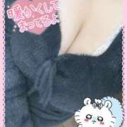 ヒメ日記 2026/02/17 17:12 投稿 たんぽぽ 丸妻 新横浜店