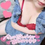 ヒメ日記 2024/12/17 01:27 投稿 なぎ 奥様なでしこ