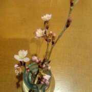 かりな お礼の日記☆ ～優しい若妻倶楽部～Mrs.女神