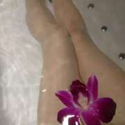 ヒメ日記 2025/11/30 12:26 投稿 せき 熟女の風俗最終章 新宿店