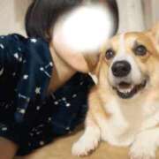 ヒメ日記 2025/01/04 19:24 投稿 ユキネ バニーコレクション秋田店