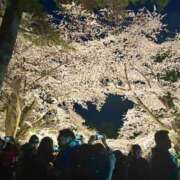 ヒメ日記 2025/04/25 21:36 投稿 ユキネ バニーコレクション秋田店