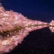 ヒメ日記 2025/04/26 06:42 投稿 ユキネ バニーコレクション秋田店