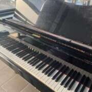 ヒメ日記 2025/04/29 22:18 投稿 ユキネ バニーコレクション秋田店