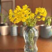 ヒメ日記 2025/05/15 19:12 投稿 ユキネ バニーコレクション秋田店