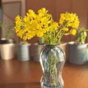 ヒメ日記 2025/05/15 19:27 投稿 ユキネ バニーコレクション秋田店