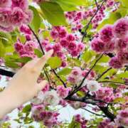 ヒメ日記 2025/05/19 18:18 投稿 ユキネ バニーコレクション秋田店