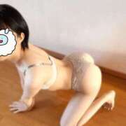 ヒメ日記 2025/05/19 18:27 投稿 ユキネ バニーコレクション秋田店