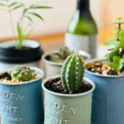 ヒメ日記 2025/06/03 07:06 投稿 ユキネ バニーコレクション秋田店