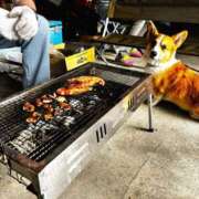 ヒメ日記 2025/06/07 17:27 投稿 ユキネ バニーコレクション秋田店