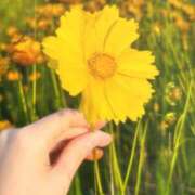 ヒメ日記 2025/06/14 21:33 投稿 ユキネ バニーコレクション秋田店