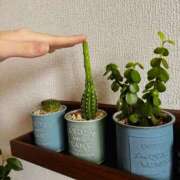 ヒメ日記 2025/08/05 07:12 投稿 ユキネ バニーコレクション秋田店