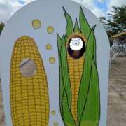 ヒメ日記 2025/09/14 12:48 投稿 ユキネ バニーコレクション秋田店