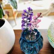 ヒメ日記 2025/11/19 07:13 投稿 ユキネ バニーコレクション秋田店