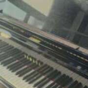 ヒメ日記 2025/11/20 07:13 投稿 ユキネ バニーコレクション秋田店