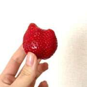 ヒメ日記 2025/12/13 07:53 投稿 ユキネ バニーコレクション秋田店