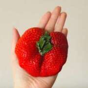 ヒメ日記 2025/12/25 12:41 投稿 ユキネ バニーコレクション秋田店