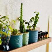 ヒメ日記 2026/01/09 08:23 投稿 ユキネ バニーコレクション秋田店