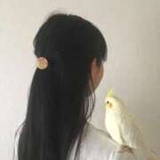 ヒメ日記 2026/02/05 19:47 投稿 ユキネ バニーコレクション秋田店