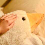 ヒメ日記 2026/02/11 07:13 投稿 ユキネ バニーコレクション秋田店