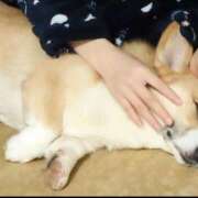 ヒメ日記 2026/02/22 12:18 投稿 ユキネ バニーコレクション秋田店