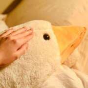 ヒメ日記 2026/02/24 07:10 投稿 ユキネ バニーコレクション秋田店